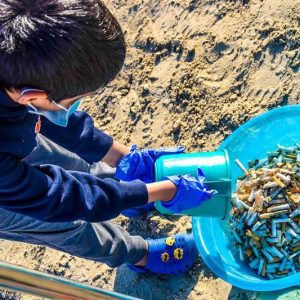 Over 2,200 beach clean-up volunteers can collect 400,000 cigarette butts in Dubai over 1,100 hours