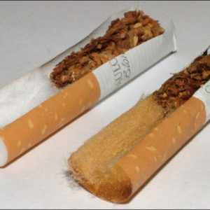 Cigarette butts also contribute to microplastic menace: study