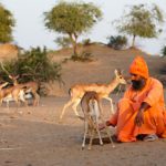 Read more about the article Meet the Ghaf Huggers: the Bishnoi community