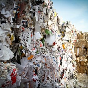 Waste reduction as a priority for the UAE