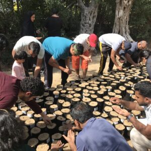 RAK BANK volunteers planted 250 Ghaf seeds
