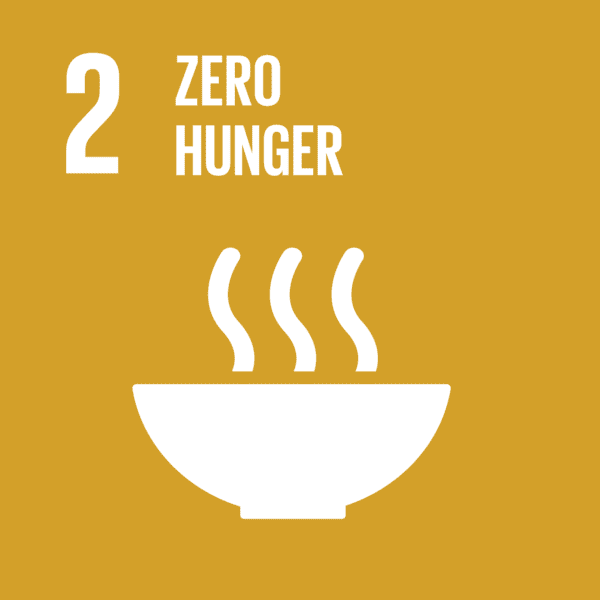 You are currently viewing SDG 2: Zero Hunger, Global Challenges and Solutions