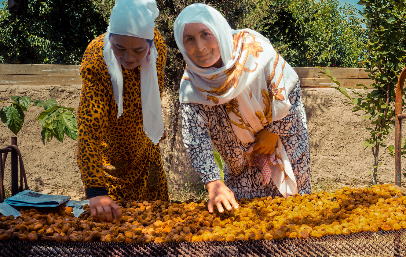 Two farmers drying apricots in Tajikistan’s Khatlon province.The purpose of the Tajikistan Land Reform and Farm Restructuring Project (LRFRP) was to support the continuing progress of dehkan farm restructuring and recognition of property rights leading to a market in land use rights. As of 2016, through LRFRP, USAID, the Government of Tajikistan, and local NGOs have provided 29,000 farmers with legal services, trained 88,000 Tajiks on land rights, helped 56,000 men and women register and document their land rights. These secure land rights encouraged Tajik farmers to invest in diverse food crops — not just apricots but also wheat, beans, onions, tomatoes, honey, and fruit trees. Photo Credit: Sandra Coburn / The Cloudburst Group