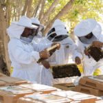 Read more about the article #GoLocal, support the bees and adopt your own hive
