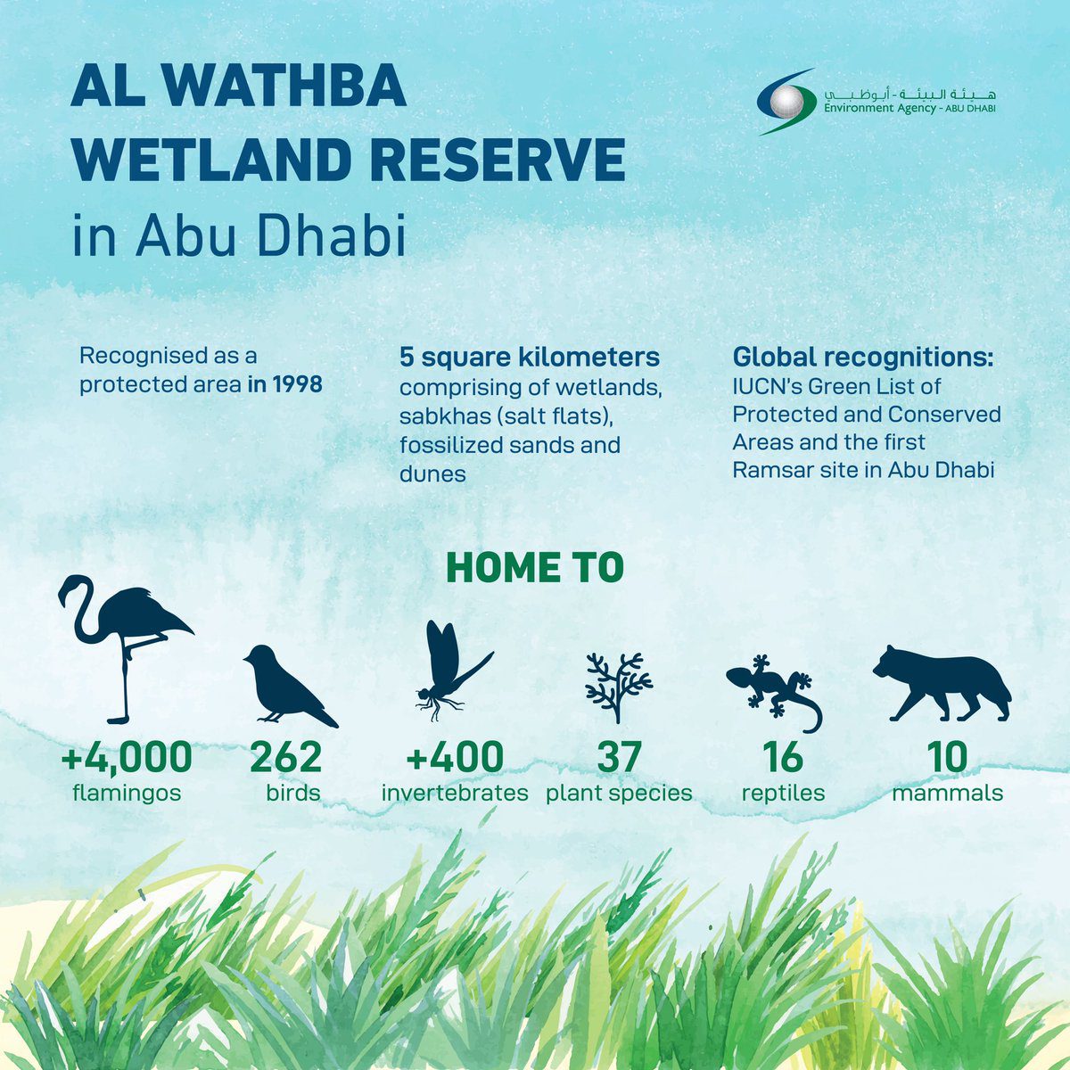 Ras Al Khor wildlife sanctuary, Dubai