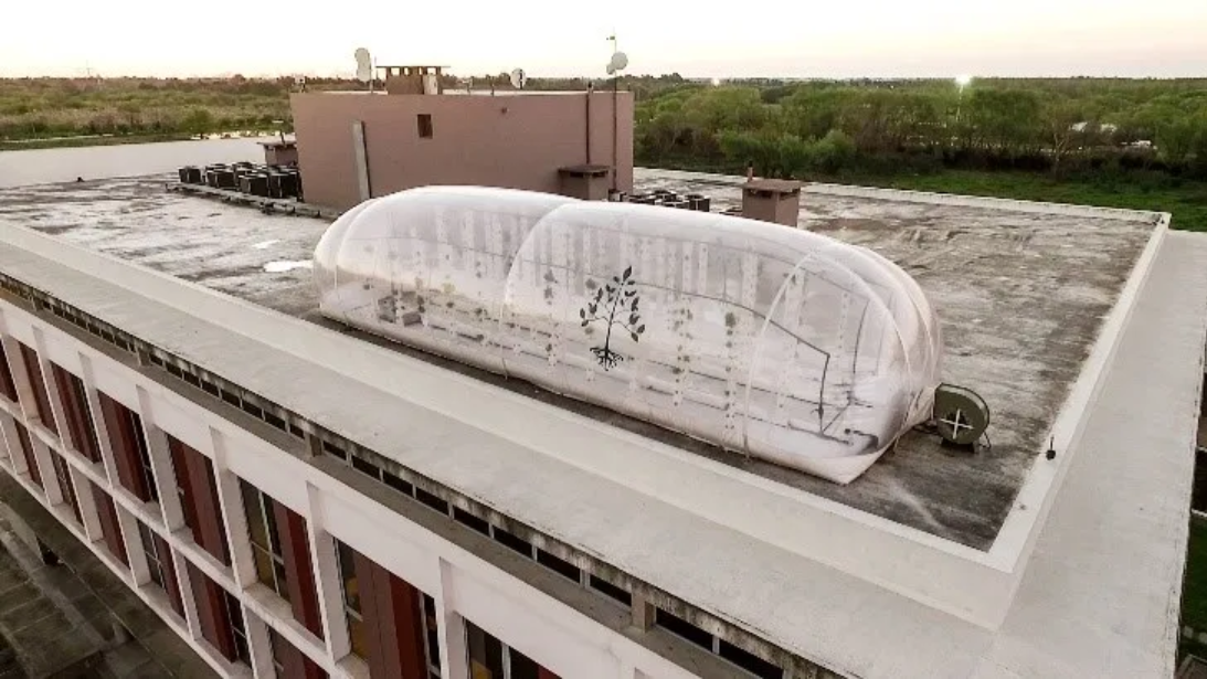 Laurus’ inflatable greenhouse