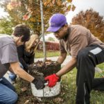 Read more about the article Can Planting Trees Make a City More Equitable?