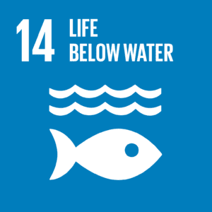 SDG 14: Conserve And Sustainably Use The Ocean And Marine Resources