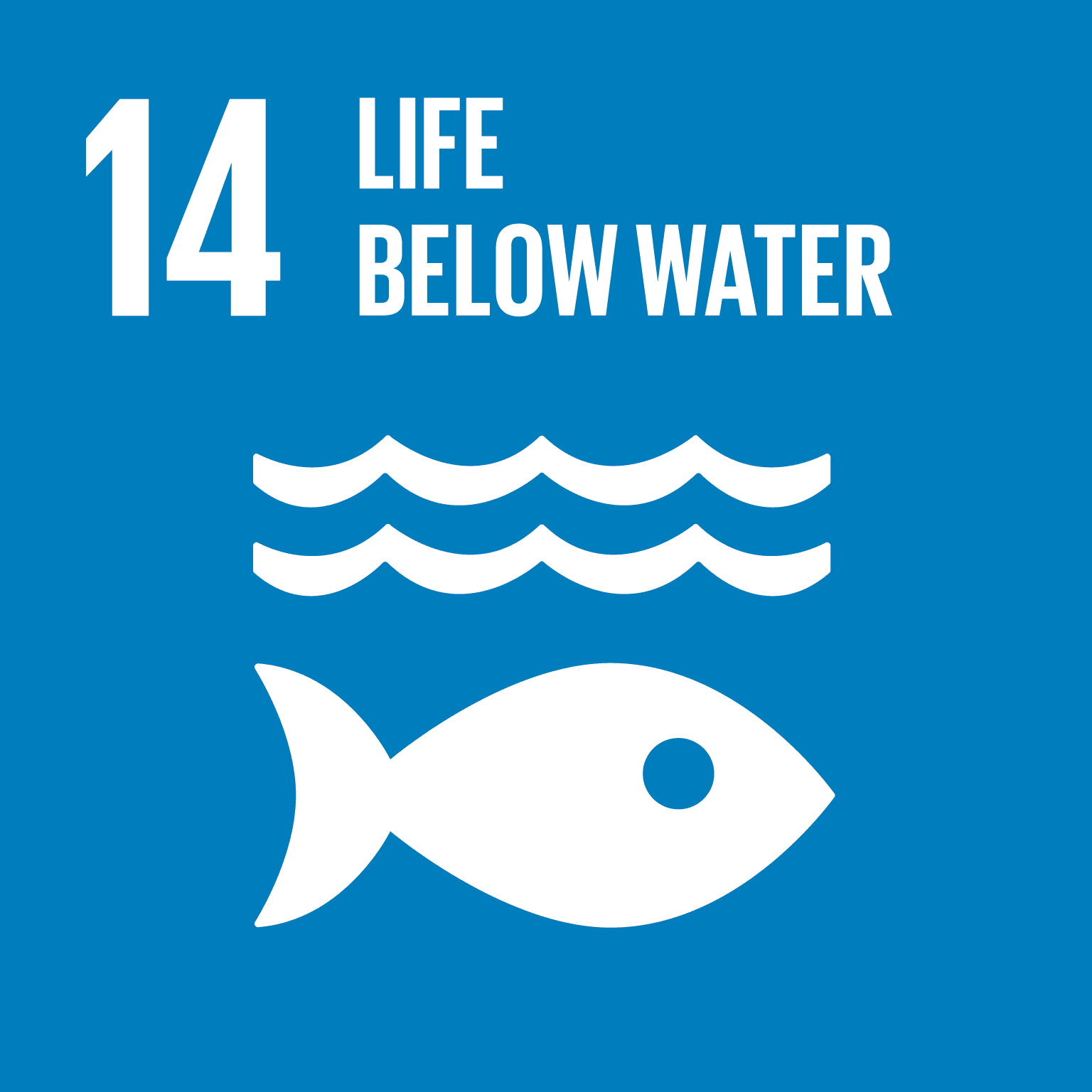 You are currently viewing SDG 14: Conserve And Sustainably Use The Ocean And Marine Resources