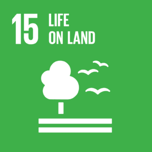 SDG 15: Respect And Protect Nature With Sustainable Land Use
