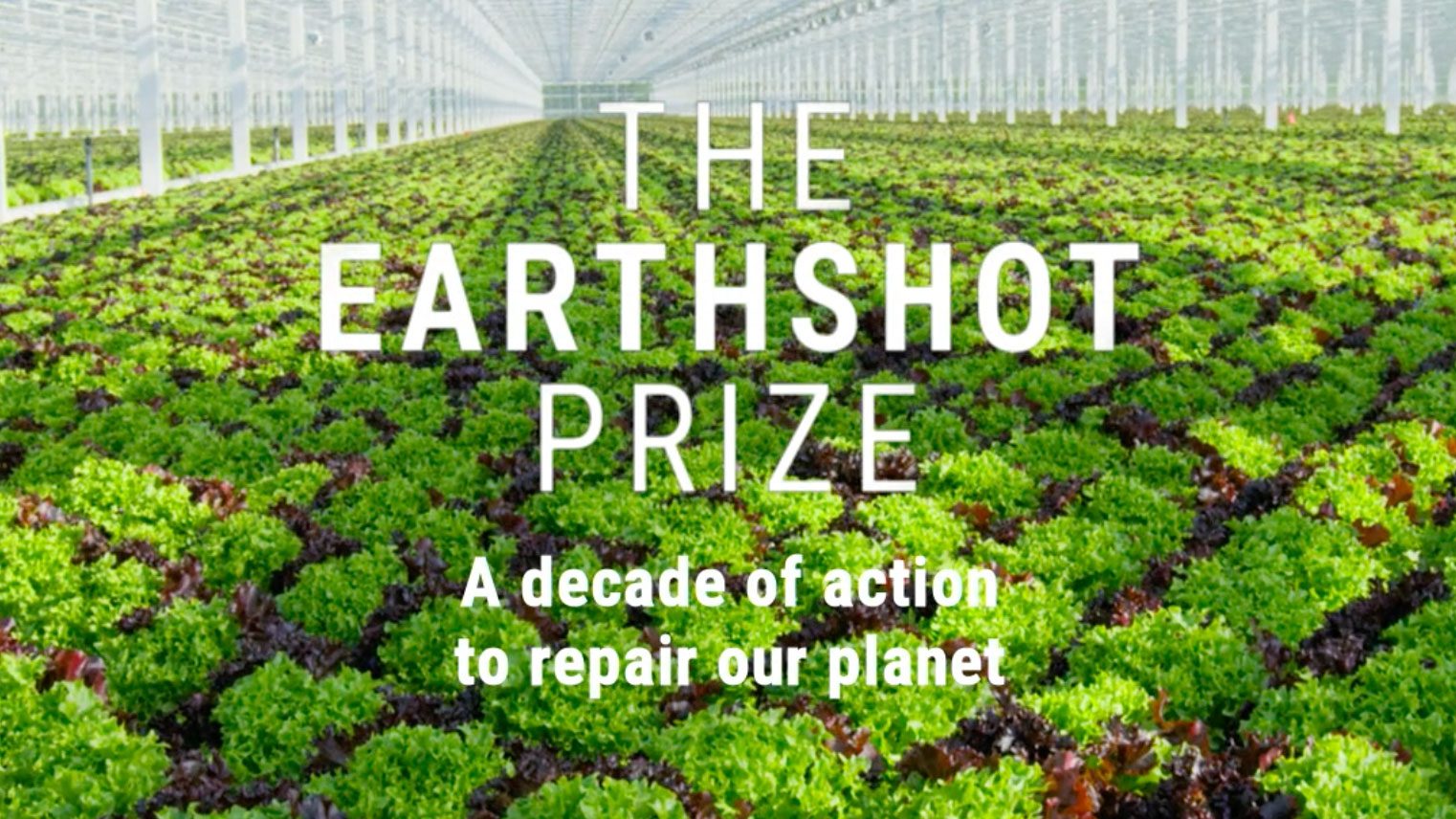 You are currently viewing DP World & Expo 2020 Become A Partner Of Global Environmental Prize