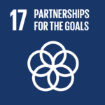 Read more about the article SDG 17: Strengthening Sustainable Development Goals and Partnerships