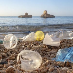 A “Paris Agreement” Dedicated Accelerate Action For Plastics Crisis
