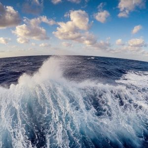 Understanding marine ecosystem:  Half of Earth’s oxygen comes from the ocean
