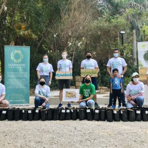 Boston Consulting Group Planted 100 Ghaf Seeds In Al Barari