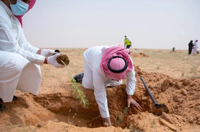 You are currently viewing King Abdulaziz Royal Reserve Kicks Off First Afforestation Campaign