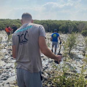 Mangrove planting with Hansgrohe Middle East