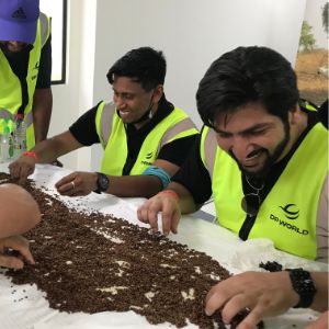 You are currently viewing DP World Volunteers harvested 108,800 Ghaf Seeds