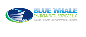 Blue Whale Environment