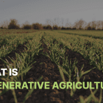 Read more about the article What is Regenerative Agriculture?