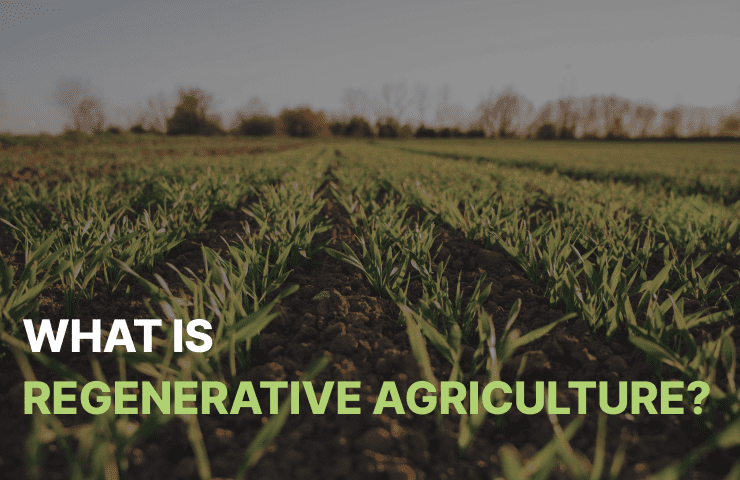 You are currently viewing What is Regenerative Agriculture?